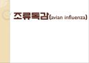 [조류독감 예방] 조류독감(avian influenza) - 조류독감 원인, 조류독감 증상, 조류독감 예방법.pptx 1페이지