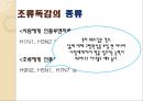 [조류독감 예방] 조류독감(avian influenza) - 조류독감 원인, 조류독감 증상, 조류독감 예방법.pptx 3페이지