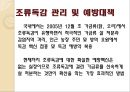 [조류독감 예방] 조류독감(avian influenza) - 조류독감 원인, 조류독감 증상, 조류독감 예방법.pptx 7페이지