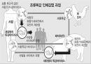 [조류독감 예방] 조류독감(avian influenza) - 조류독감 원인, 조류독감 증상, 조류독감 예방법.pptx 8페이지