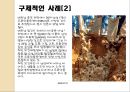 [조류독감 예방] 조류독감(avian influenza) - 조류독감 원인, 조류독감 증상, 조류독감 예방법.pptx 12페이지