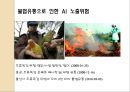 [조류독감 예방] 조류독감(avian influenza) - 조류독감 원인, 조류독감 증상, 조류독감 예방법.pptx 13페이지