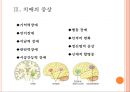 [치매] 치매 개념, 치매 종류, 치매 증상, 치매 예방법 및 치료법 11페이지