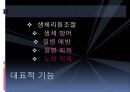 [기능성 식품] 기능성 음식,기능성 식품, 기능성 음식 종류, 기능성 식품 종류, 기능성 식품 기능, 기능성 식품 비교 7페이지