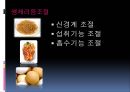[기능성 식품] 기능성 음식,기능성 식품, 기능성 음식 종류, 기능성 식품 종류, 기능성 식품 기능, 기능성 식품 비교 8페이지