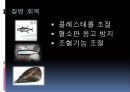 [기능성 식품] 기능성 음식,기능성 식품, 기능성 음식 종류, 기능성 식품 종류, 기능성 식품 기능, 기능성 식품 비교 11페이지