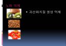 [기능성 식품] 기능성 음식,기능성 식품, 기능성 음식 종류, 기능성 식품 종류, 기능성 식품 기능, 기능성 식품 비교 12페이지