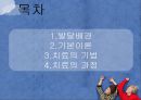 [발달發達놀이치료] 발달놀이치료 배경, 발달놀이치료 이론, 발달놀이치료기법, 발달놀이치료 과정 2페이지