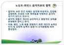 [음악치료법] 음악치료접근법 - 음악치료 기술, 오르프 음악치료, 노도프 음악치료.ppt 14페이지