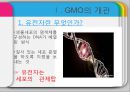 [GMO 음식. Genetically Modified Organism] GMO개념과 GMO 위해성, GMO 규제, GMO 과제, GMO 전망 4페이지