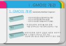 [GMO 음식. Genetically Modified Organism] GMO개념과 GMO 위해성, GMO 규제, GMO 과제, GMO 전망 5페이지