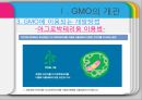 [GMO 음식. Genetically Modified Organism] GMO개념과 GMO 위해성, GMO 규제, GMO 과제, GMO 전망 8페이지