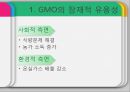 [GMO 음식. Genetically Modified Organism] GMO개념과 GMO 위해성, GMO 규제, GMO 과제, GMO 전망 12페이지