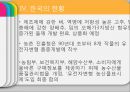 [GMO 음식. Genetically Modified Organism] GMO개념과 GMO 위해성, GMO 규제, GMO 과제, GMO 전망 21페이지