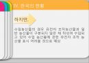 [GMO 음식. Genetically Modified Organism] GMO개념과 GMO 위해성, GMO 규제, GMO 과제, GMO 전망 23페이지