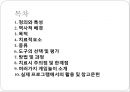 [게임game 놀이치료] 게임놀이치료 역사, 게임놀이치료 목적, 게임놀이치료 종류, 게임놀이치료 효과, 게임놀이치료 방법, 게임놀이치료 과정, 게임놀이치료 주의점, 게임놀이치료 한계점 2페이지