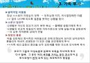 [솔약국집 아들들, 소문난 칠공주, 욕망欲望의 불꽃] Bowen 다세대 가족치료로 본 3세대 가족치료, 가계도, 보웬의 다세대 가족치료 적용 9페이지