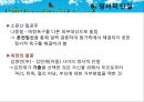 [솔약국집 아들들, 소문난 칠공주, 욕망欲望의 불꽃] Bowen 다세대 가족치료로 본 3세대 가족치료, 가계도, 보웬의 다세대 가족치료 적용 12페이지