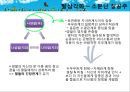 [솔약국집 아들들, 소문난 칠공주, 욕망欲望의 불꽃] Bowen 다세대 가족치료로 본 3세대 가족치료, 가계도, 보웬의 다세대 가족치료 적용 18페이지
