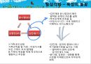 [솔약국집 아들들, 소문난 칠공주, 욕망欲望의 불꽃] Bowen 다세대 가족치료로 본 3세대 가족치료, 가계도, 보웬의 다세대 가족치료 적용 19페이지