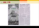 [유전공학遺傳工學] GMO, GMO 개념, GMO 현황, GMO 영향, GMO 미치는 영향, GMO 전망 13페이지