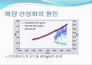 [해양질병-해양산성화를 중점으로] 해양산성화 (Ocean acidification) - 해양산성화 실태, 해양산성화 문제점, 해양산성화 완화대책, 해양산성화 전망.pptx 5페이지