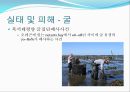 [해양질병-해양산성화를 중점으로] 해양산성화 (Ocean acidification) - 해양산성화 실태, 해양산성화 문제점, 해양산성화 완화대책, 해양산성화 전망.pptx 6페이지