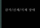 [★발표자료★][장애별 음악치료 적용] 감각/신체/지체 장애 - 신체장애, 감각장애, 지체장애의 특징 및 장애별 음악치료 적용.pptx 1페이지