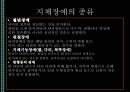 [★발표자료★][장애별 음악치료 적용] 감각/신체/지체 장애 - 신체장애, 감각장애, 지체장애의 특징 및 장애별 음악치료 적용.pptx 17페이지