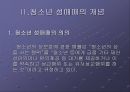 [★발표자료★][청소년 성매매] 청소년 성매매의 개념과 실태, 사례, 처벌법규, 청소년 성매매의 문제점 분석과 해결방안, 청소년 성매매 정책.ppt 4페이지