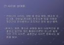 [★발표자료★][청소년 성매매] 청소년 성매매의 개념과 실태, 사례, 처벌법규, 청소년 성매매의 문제점 분석과 해결방안, 청소년 성매매 정책.ppt 7페이지