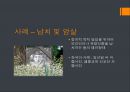 [★발표자료★][테러리즘 Terrorism] 테러의 개념, 테러의 원인과 특징, 테러의 문제점, 테러 대책방안.pptx 12페이지