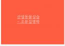 [산업동물실습] 조류질병학 : 동물 실습 - 조류 질병, 조류 질병 원인, 조류 부검, 조류 질병 진단, 조류 질병 검사.pptx 1페이지