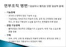 [연부조직, 뼈, 그리고 수술 후 상태에서 치료의 원리] 연부조직 병변, 급성기 동안의 관리, 누적외성, 관절 외상 후 고정 등.pptx 6페이지