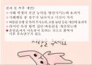 [청소년 성상담 및 왕따문제 상담] 청소년 성상담 방법, 성상담 필요성, 성문제 특징, 집단따돌림 문제 상담, 청소년 왕따 문제 상담.pptx 55페이지