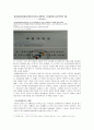 [리셋증후군의 심각성과 해결방안] IT시대로의 진입과 리셋증후군 - 리셋증후군의 개념, 리셋증후군 사례, 리셋증후군 영향, 리셋증후군 해결방안 5페이지