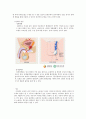 [불임의 실태와 치료방안] ‘불임’-불임은 없다. 아가야 어서 오렴 ( 불임의 개념, 불임 특징, 불임 원인, 불임 치료방안 ) 5페이지