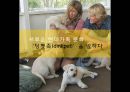 [딩크족][딩펫족] 새로운 현대가족 문화 ‘딩펫족(dinkpet)’을 말하다- 딩크족 및 딩펫족의 개념과 출현 배경 및 문제점들.pptx
 1페이지