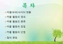 커플couple(부부)사이의 좋은 관계를 유지하는 방법과 커플 활동 장점 및 단점 2페이지