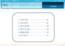 1인 여행사 사업(창업)계획서 (국외여행업 및 부대사업).ppt 2페이지