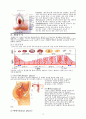 여성생식보고서 - 여성생식기계 The reproductive systems {여성 생식기계 구조, 월경주기, 여성의 임신, 폐경기, 여성생식기계 질병} 3페이지