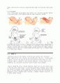 여성생식보고서 - 여성생식기계 The reproductive systems {여성 생식기계 구조, 월경주기, 여성의 임신, 폐경기, 여성생식기계 질병} 6페이지