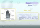 Propeller Design (프로펠러 디자인) - DTMB N4119 NACA66 ( Mod ) .pptx 8페이지
