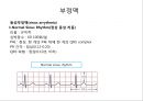 심전도 (심전도 분석, 부정맥).pptx 19페이지