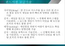 윈드서핑(wind surfing)의 모든 것 - 윈드서핑에 대해서 프레젠테이션.pptx 4페이지