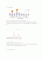아웃백 vs 자연별곡 기업분석과 마케팅 SWOT,4P,STP전략 비교분석과 아웃백 재도약위한 새로운 전략제안 레포트,자연별곡과 비교분석
 19페이지