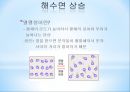 지구 온난화 地球溫暖化 8페이지