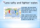지구 온난화 地球溫暖化 13페이지