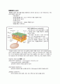 스트렙토마이시스 6페이지
