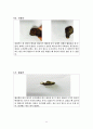 광물 육안관찰 이론
 13페이지